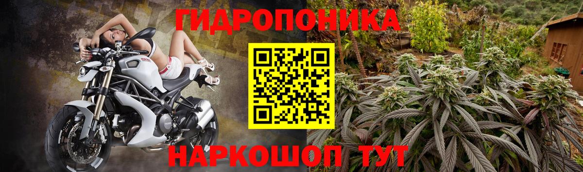 Бошки марихуана тримм  Вход с VPN  Канабис AK-47  Марихуана VHQ  Канабис OG Kush  Москва 