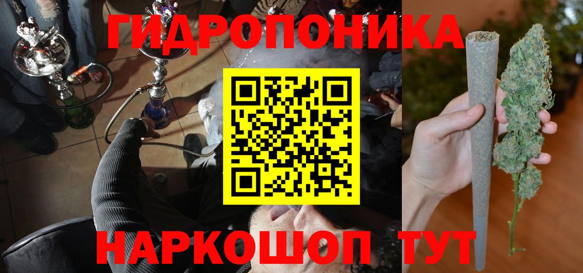 Каннабис OG Kush Москва